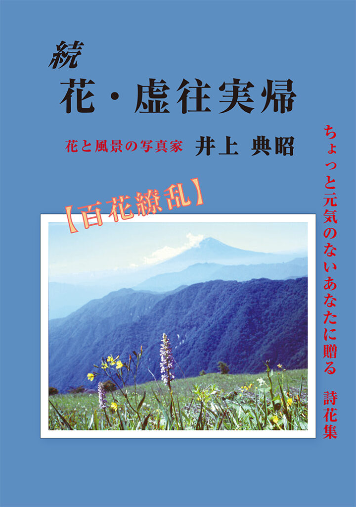 『続 花・虚往実帰』表紙